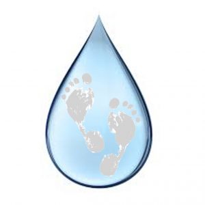 The Water Footprint